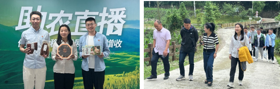 1687262862757023838.png image.png